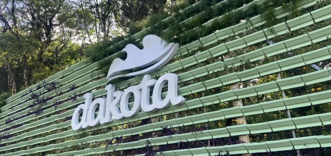 科技使然,至精至敏丨世界杯官网3D打印解决方案为巴西鞋企Dakota解决生产难题