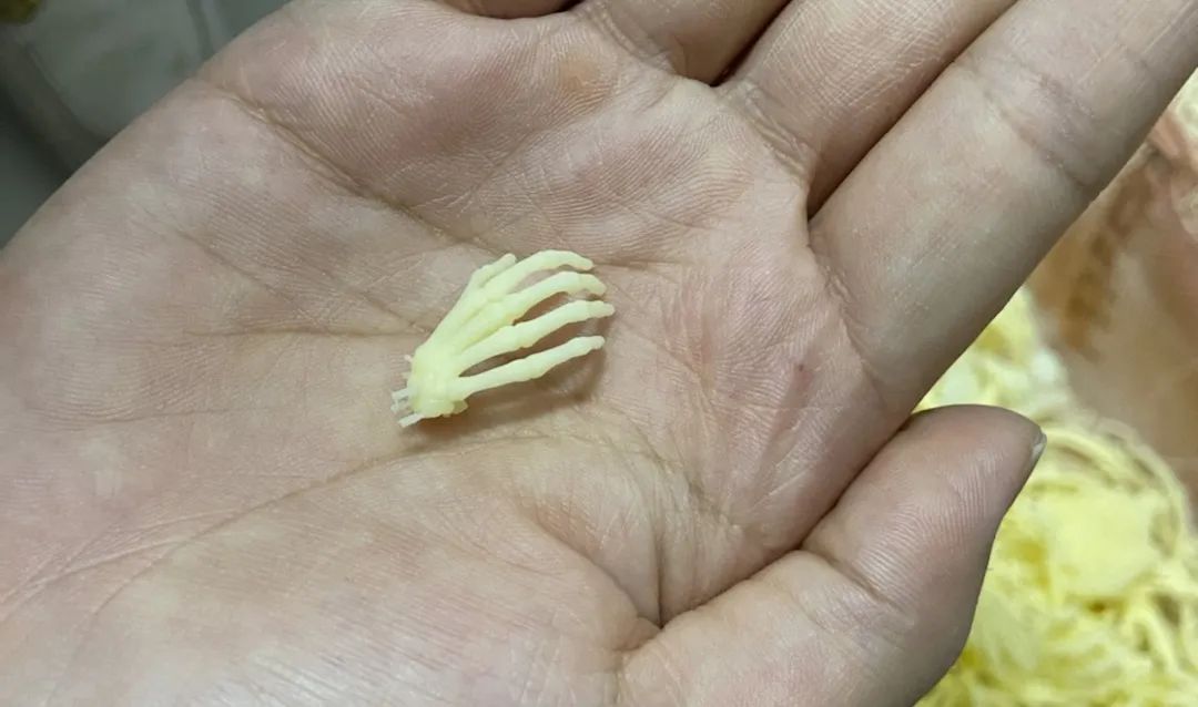专访∣动漫手办启航圣地:惠州启航叁维科技
